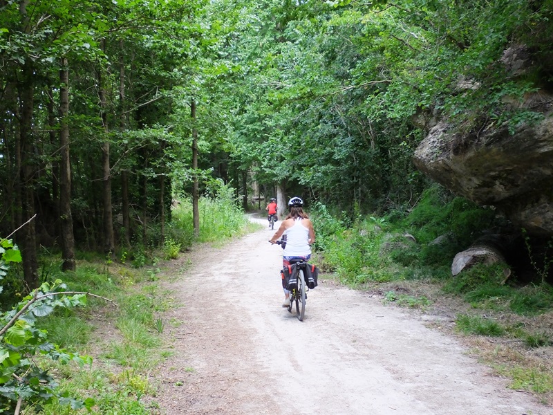 the puketapu loop bike trail